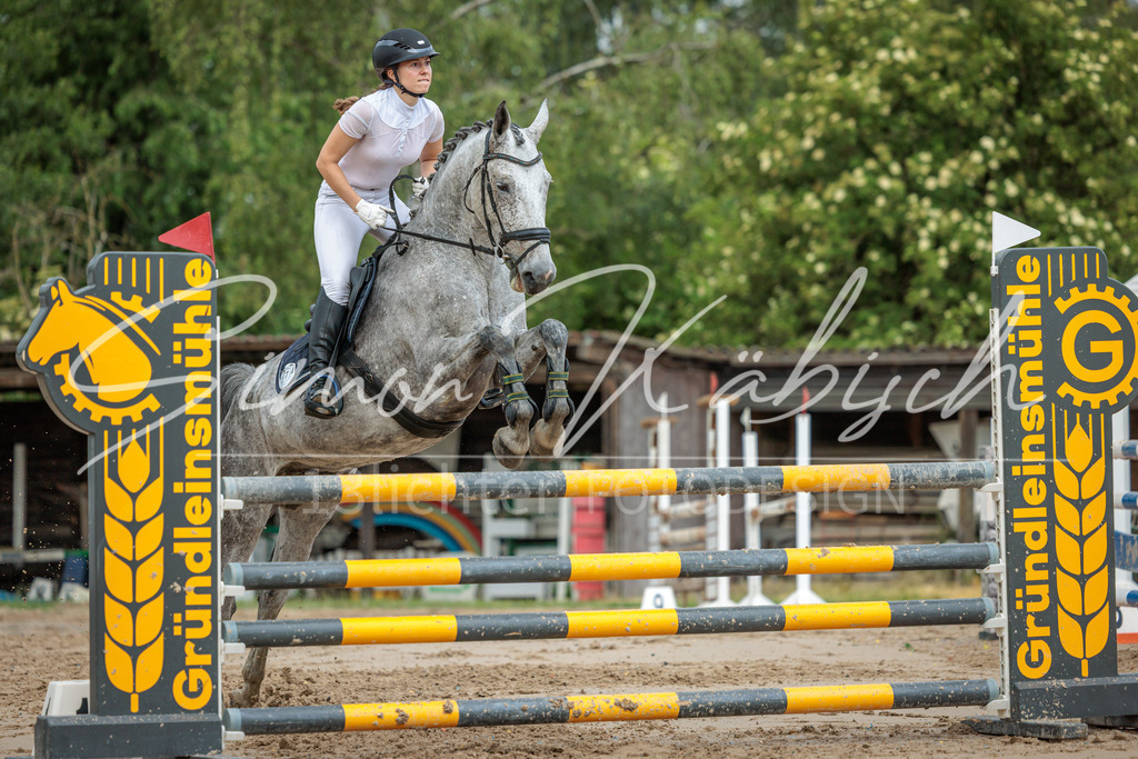 20260530-_3LI2720 | Tierfotografie Pferde, Hunde, Katzen, Haustiere.
Turnierfotografie Reitturniere, Reiten, Springreiten, Dressur in Hanau, dem Main-Kinzig-Kreis und dem Rhein-Main- Gebiet um Frankfurt
