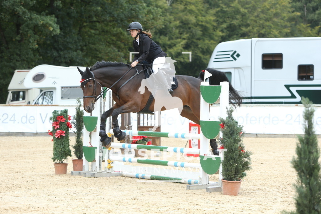 DL2Q1938 | Willkommen bei Brunnmayr - Design & Fotografie – Ihrem Spezialisten für Reitturniere und Pferdeveranstaltungen in Oberösterreich, Salzburg und Bayern! Seit über 17 Jahren sind wir leidenschaftlich dabei.