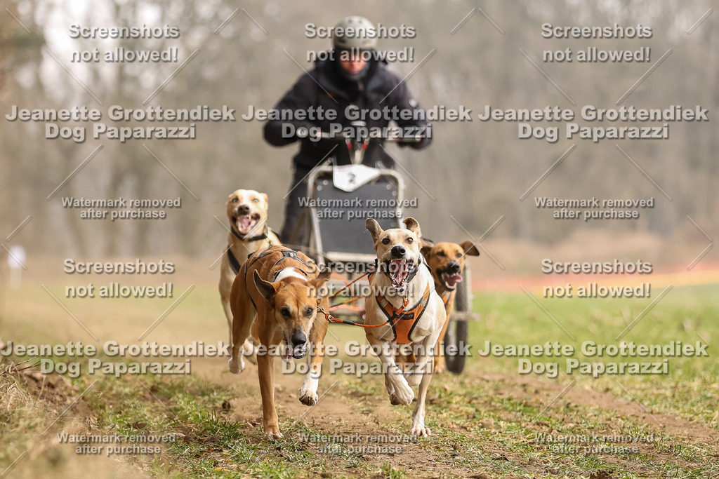 Dog Paparazzi - Plate 2026-94 | Dog Paparazzi Jeanette Grottendiek Fotografie & Videografie - Realisiert mit Pictrs.com