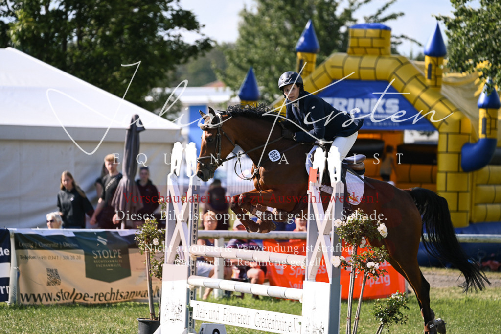 DSC_1243 | Pferde- und Turnierfotografie in Westsachsen. Pferdeportraits, Auftragszeichnungen und intuitive Kunst.