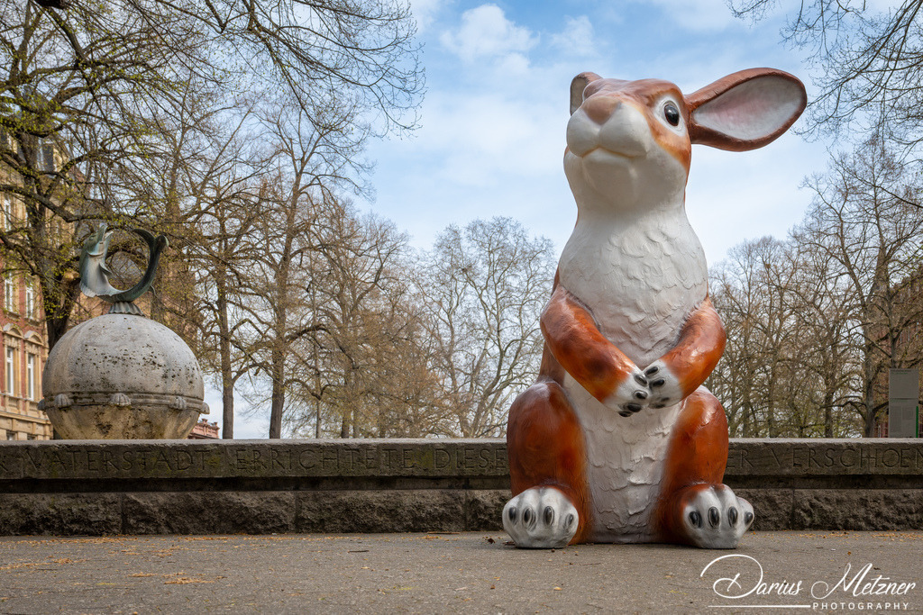 DSC_1899 | Fotografien, Fotos und Bilder aus Mainz, Frankfurt, Wiesbaden und anderen Orten auf der Welt - Fotografiert von Darius Metzner