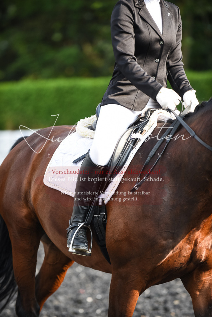 DSC_3327 | Pferde- und Turnierfotografie in Westsachsen. Pferdeportraits, Auftragszeichnungen und intuitive Kunst.
