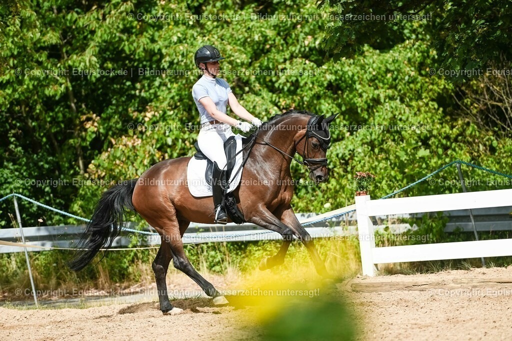 20230715_02_Dressurreiterprüfung Kl.L_0413 | equistock