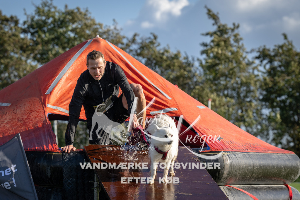 1453-90237 | kk-dogfotos