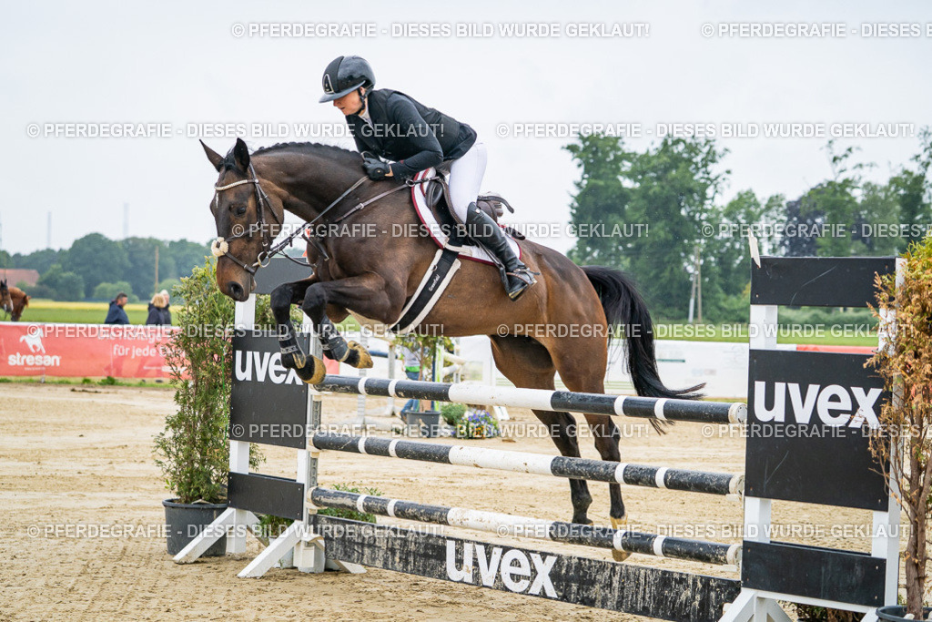 DSC01257 | Pferdegrafie