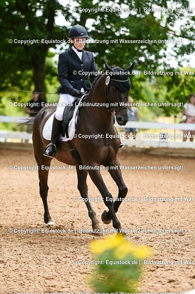 20230716_03_Dressurprfg. Kl.L - Tr._0358 | equistock