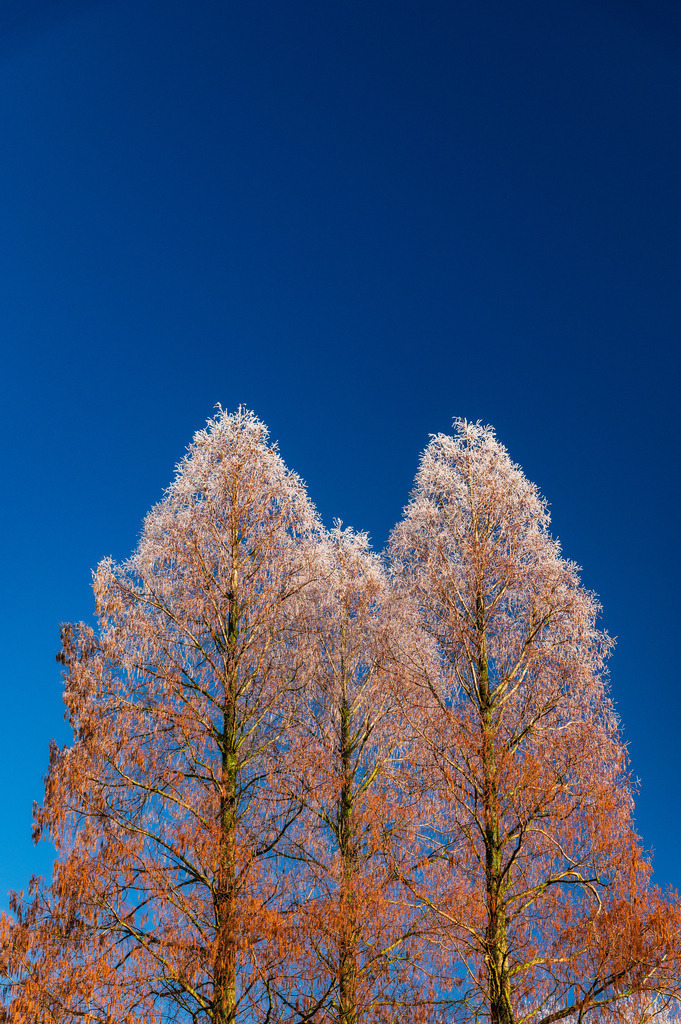 2025_01_19_HH-OEVELGOENNE_MCP4733 | Hochwertig gedruckte Fotografien für die Wand, als Kalender und zum Verschenken. Hamburg & Norddeutschland und überall wo ich mit der Kamera unterwegs war.