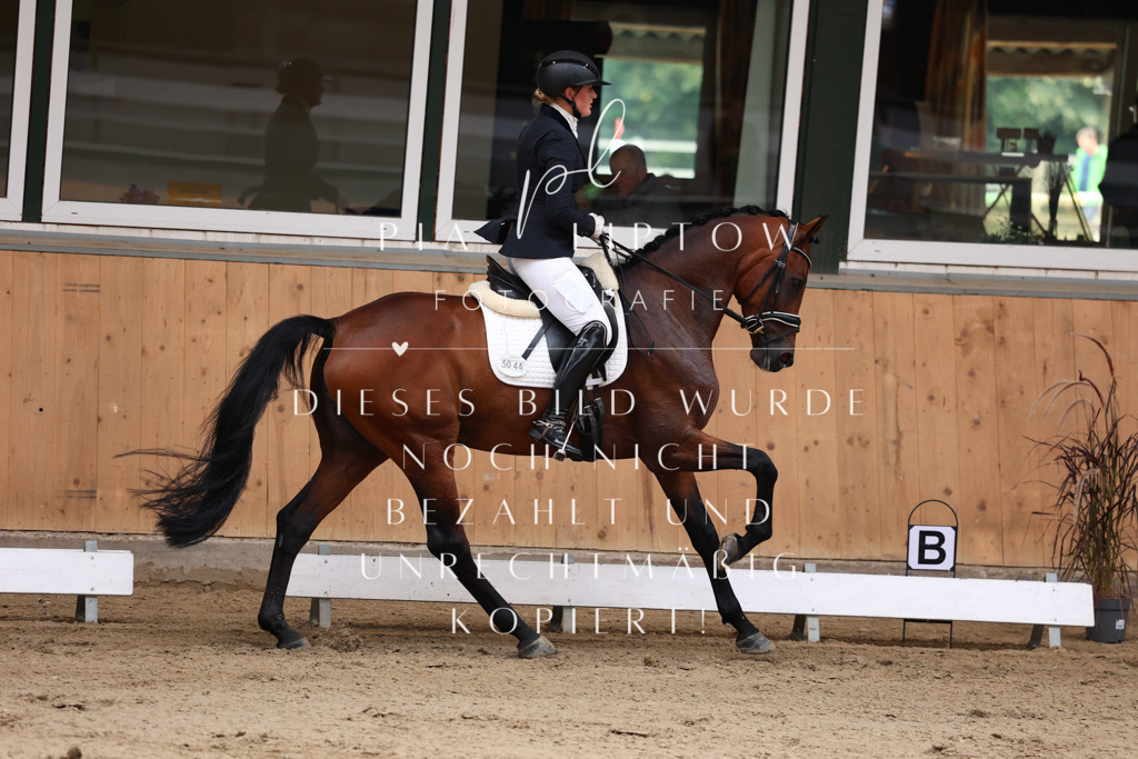 IMGM9291 | pl-fotografie