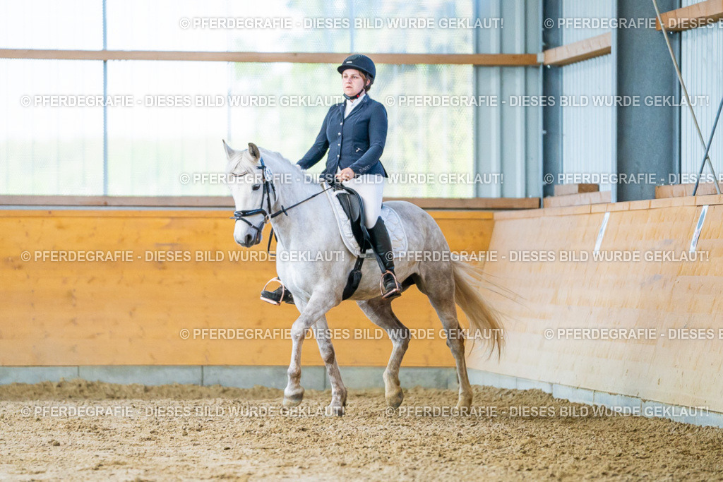 DSC06969 | Pferdegrafie