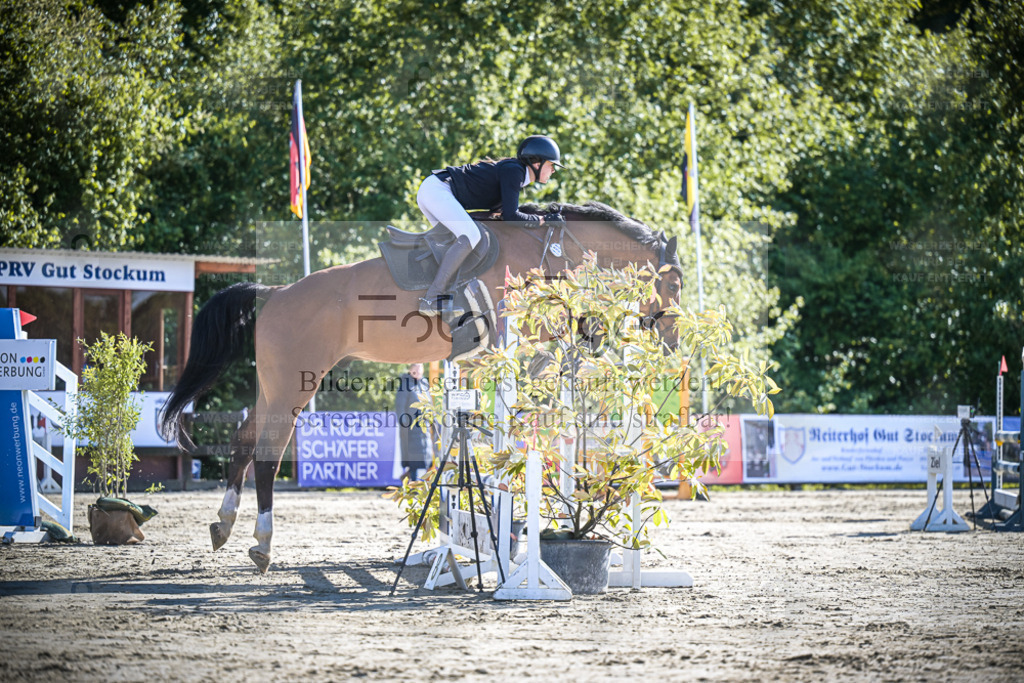 DOS_9584 | Entdecke hochwertige Reitturnierfotos von Foto Oger. Professionell, emotional und authentisch – jetzt Lieblingsmomente im Shop bestellen. - Realisiert mit Pictrs.com