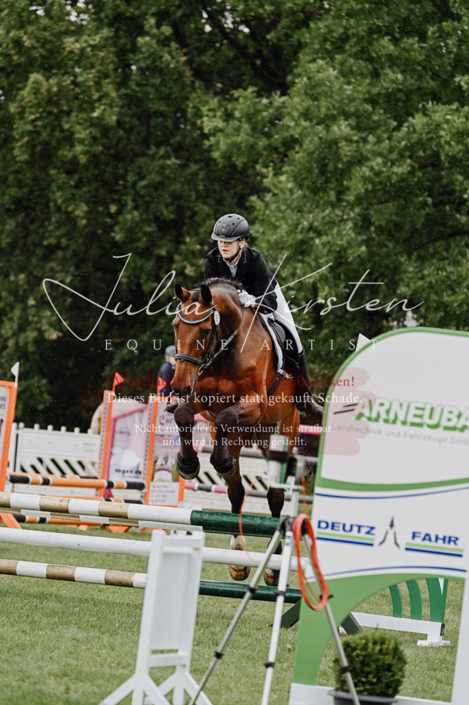 DSC_7033 | Pferde- und Turnierfotografie in Westsachsen. Pferdeportraits, Auftragszeichnungen und intuitive Kunst.