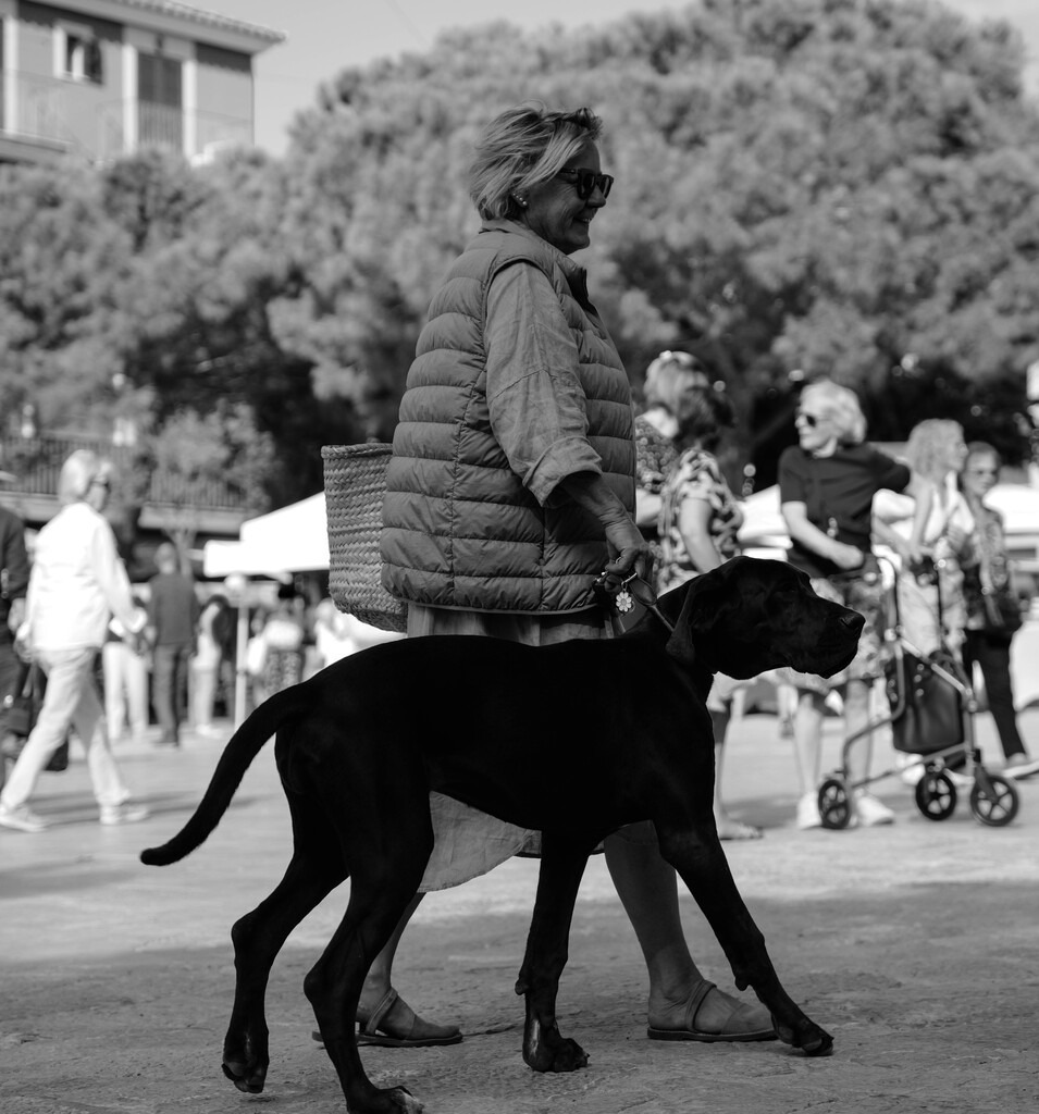 Street (08) | hgt-foto