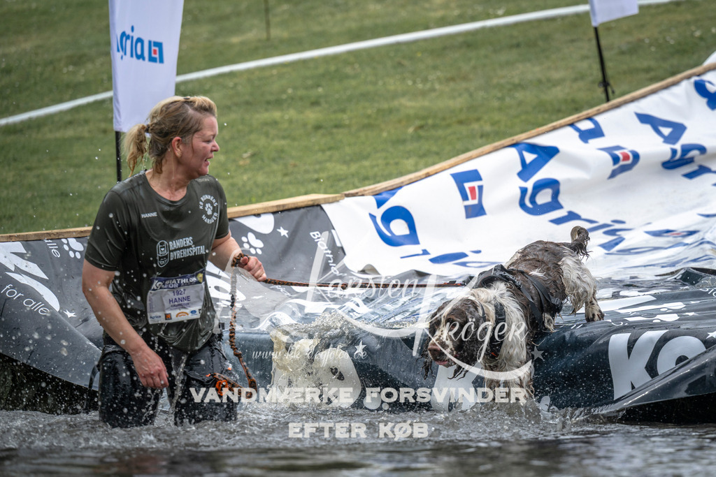1506_ZZ93631 | kk-dogfotos