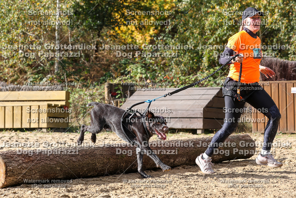 Dog Paparazzi - Strongdog 10-25-5700 | Dog Paparazzi Jeanette Grottendiek Fotografie & Videografie - Realisiert mit Pictrs.com