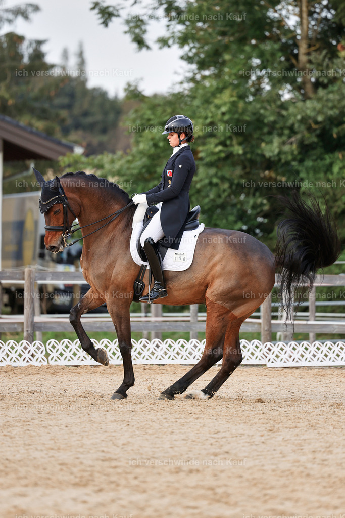 13-186-S___ -StoibPH-7025 | working equitationturnier fotograf videograf stoibphotography marixx film working equitation deutschland reitsport turnierfotografie eventfotografie equestrian events
