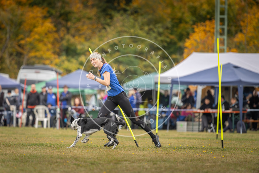 Pfotenfotografie_DV3A3516 | Hundefotografie, Tierfotograf, Pfotenfotografie, Fotoshooting Hund, Hunde Portrait, Hundesport, Hundeportraits, Heideshooting, Hunde, Sportfotograf, Hundefotograf, Turnierhundsport, THS,  - Realisiert mit Pictrs.com