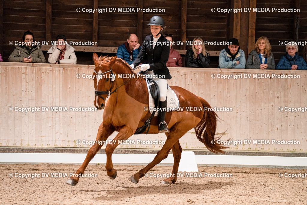 Dressur Tag 1 -368 | dv-media-shop - Realisiert mit Pictrs.com