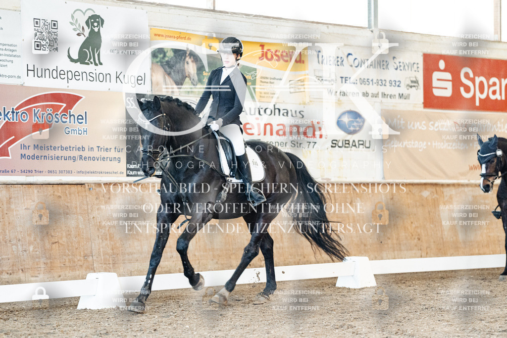 CK906990 | Turnierfotografie Pferdefotografie Trier Rheinland-Pfalz Pferdesport Reitsport Tierfotografie Sportfotografie Pferdevideo Pferdevideografie Equestrianvideography equestrianphotography  - Realisiert mit Pictrs.com