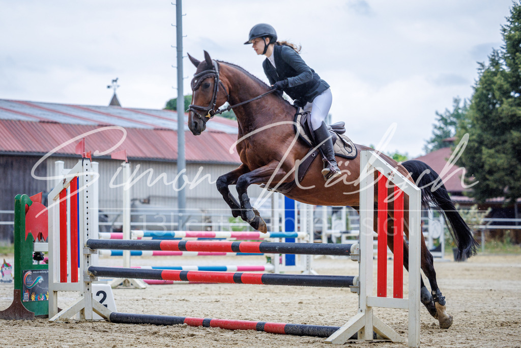 20260705-_3LI3502 | Tierfotografie Pferde, Hunde, Katzen, Haustiere.
Turnierfotografie Reitturniere, Reiten, Springreiten, Dressur in Hanau, dem Main-Kinzig-Kreis und dem Rhein-Main- Gebiet um Frankfurt
