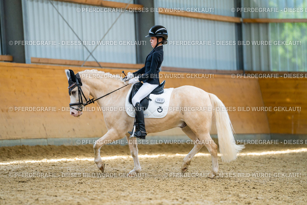 DSC09155 | Pferdegrafie