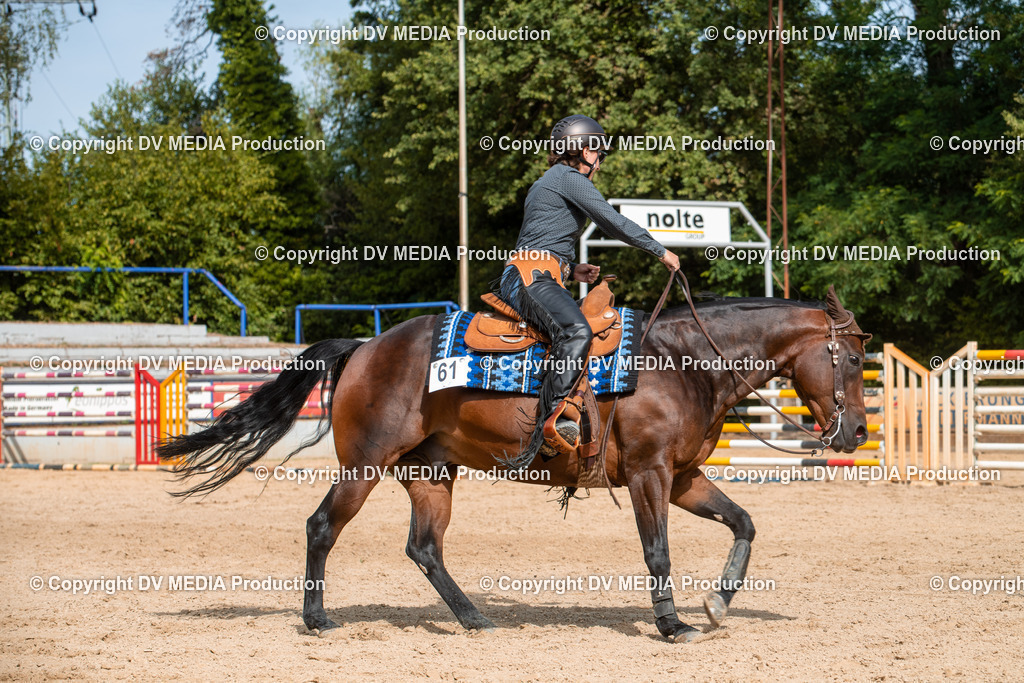 EWP_5886 | dv-media-shop - Realisiert mit Pictrs.com