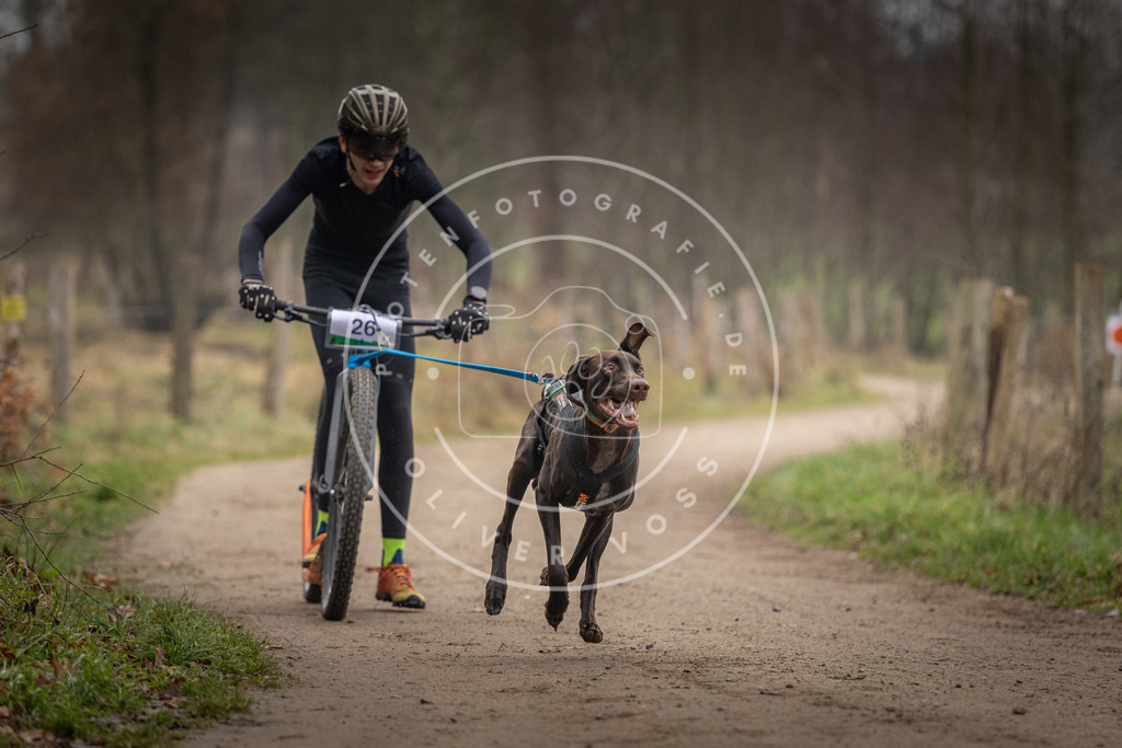 Pfotenfotografie_DV3A2129 | Hundefotografie, Tierfotograf, Pfotenfotografie, Fotoshooting Hund, Hunde Portrait, Hundesport, Hundeportraits, Heideshooting, Hunde, Sportfotograf, Hundefotograf, Turnierhundsport, THS,  - Realisiert mit Pictrs.com