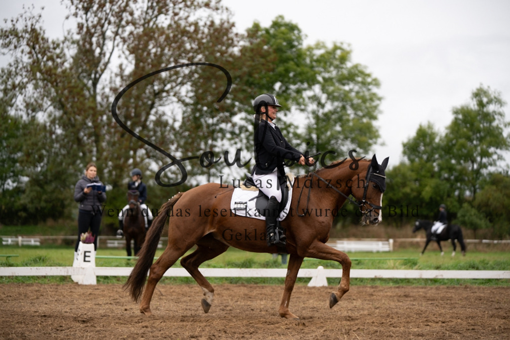 A7V05898 | Pferdefotograf