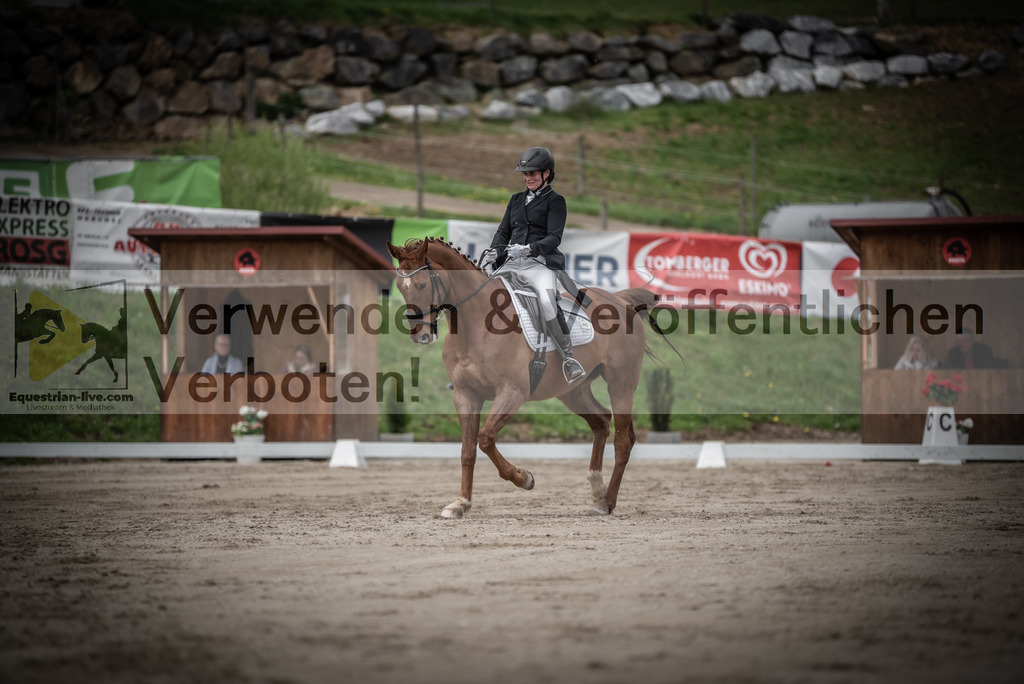 DSC_2500 | equestrian-live-com