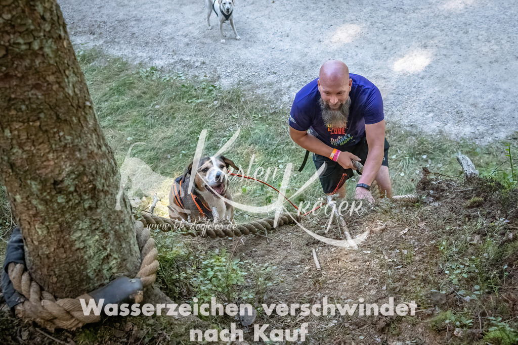 1145_ZZ91927 | kk-dogfotos