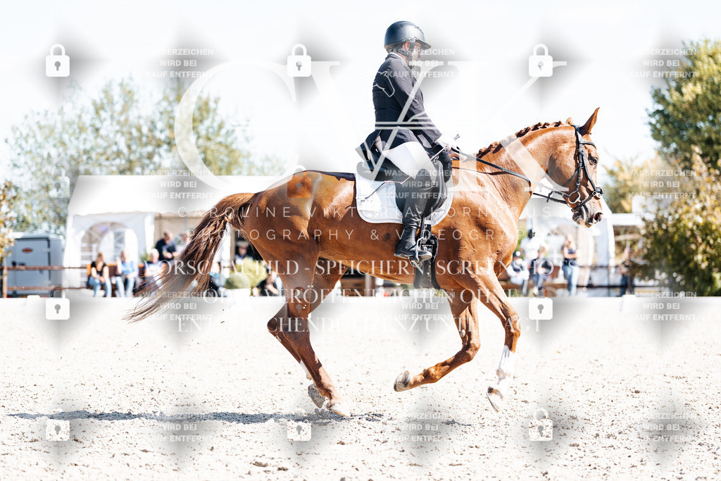 CK903324 | Turnierfotografie Pferdefotografie Trier Rheinland-Pfalz Pferdesport Reitsport Tierfotografie Sportfotografie Pferdevideo Pferdevideografie Equestrianvideography equestrianphotography  - Realisiert mit Pictrs.com