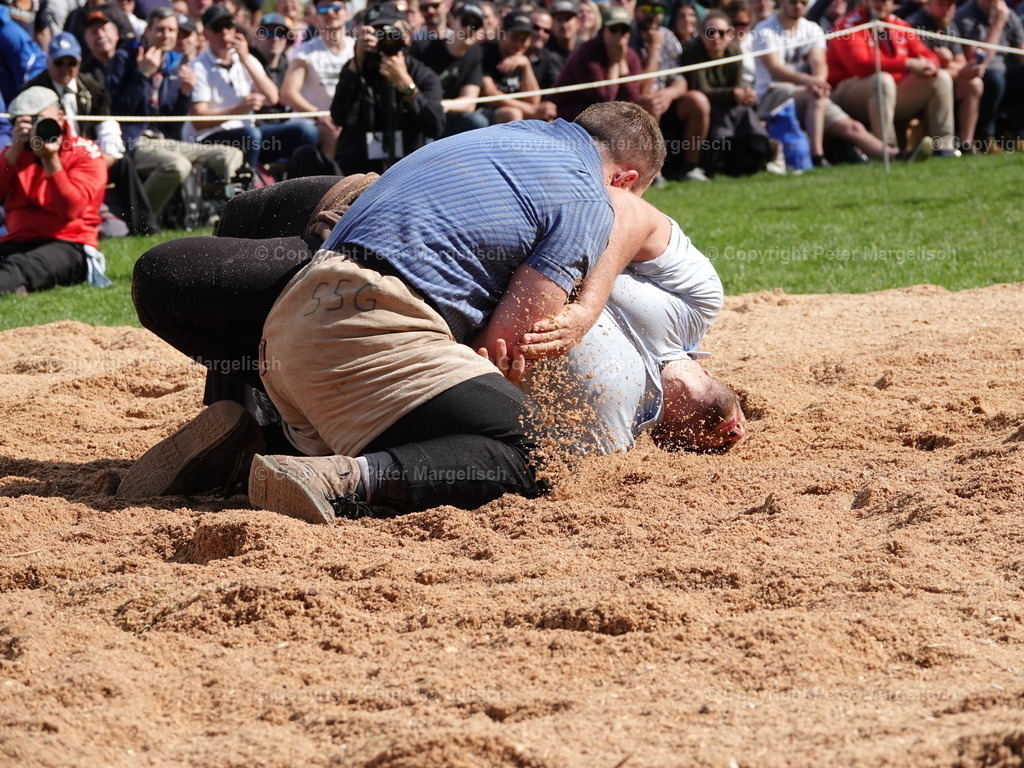 DSC07115 | Schwingen - Realisiert mit Pictrs.com