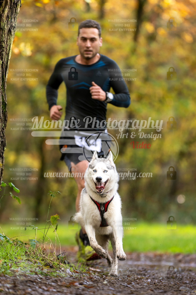 MompixPhotography_Bischwiller23_Canicross-125 | PayLife