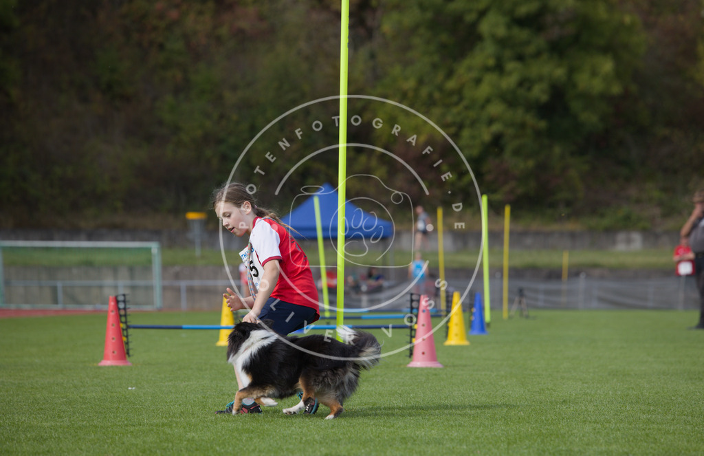 0L8A3565 | Hundefotografie, Tierfotograf, Pfotenfotografie, Fotoshooting Hund, Hunde Portrait, Hundesport, Hundeportraits, Heideshooting, Hunde, Sportfotograf, Hundefotograf, Turnierhundsport, THS,  - Realisiert mit Pictrs.com
