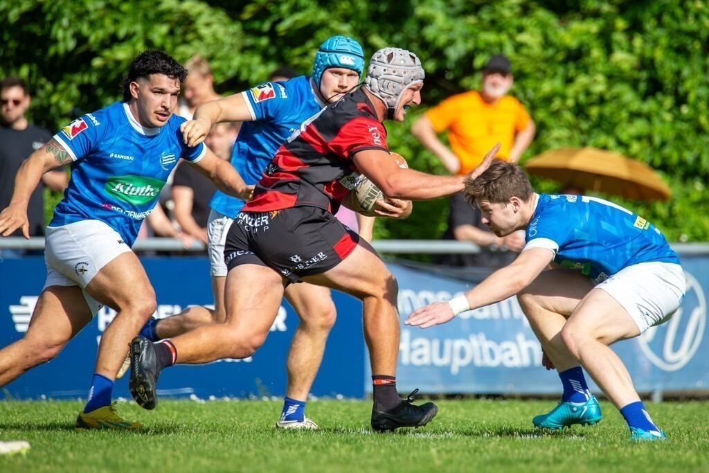 Rugby 1. Bundesliga Süd/West, Saison 2024/25, 12. Spieltag: SC Neuenheim gegen SC Frankfurt 1880 | Rugby 1. Bundesliga Süd/West, Saison 2024/25, 12. Spieltag: SC Neuenheim gegen SC Frankfurt 1880 - Realisiert mit Pictrs.com