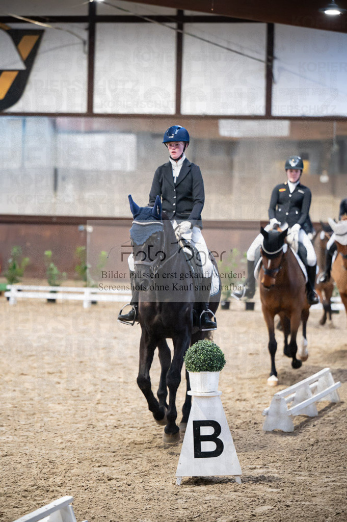 Hallenreittunier Voxtrup 2023 | Entdecke hochwertige Reitturnierfotos von Foto Oger. Professionell, emotional und authentisch – jetzt Lieblingsmomente im Shop bestellen.Deutschlandweite Turnierfotografie. - Realisiert mit Pictrs.com
