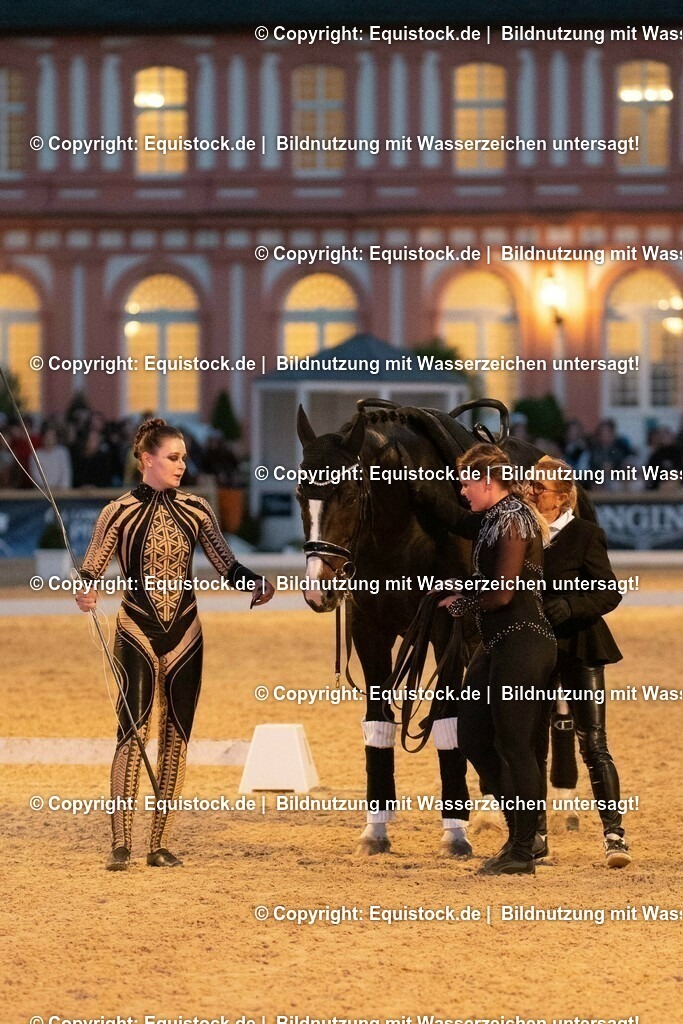 20230527_Voltigieren_NASPA_Flutlicht_0599 | equistock