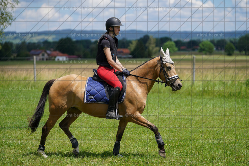 20240622-FAH07230 | Turnierfotografen Bayern, Reitsportbilder aus dem Geländekurs mit Felix Etzel auf dem Gut Waitzacker 2024