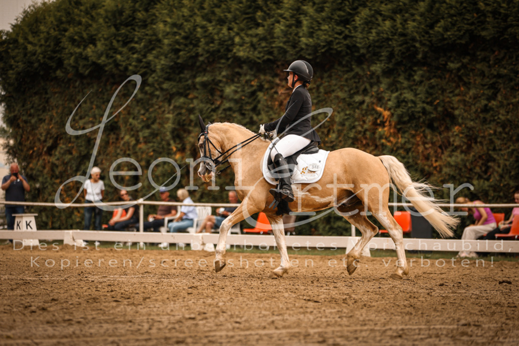 16.SaDrM00166 | Leoni Ertmer Photography - Realisiert mit Pictrs.com