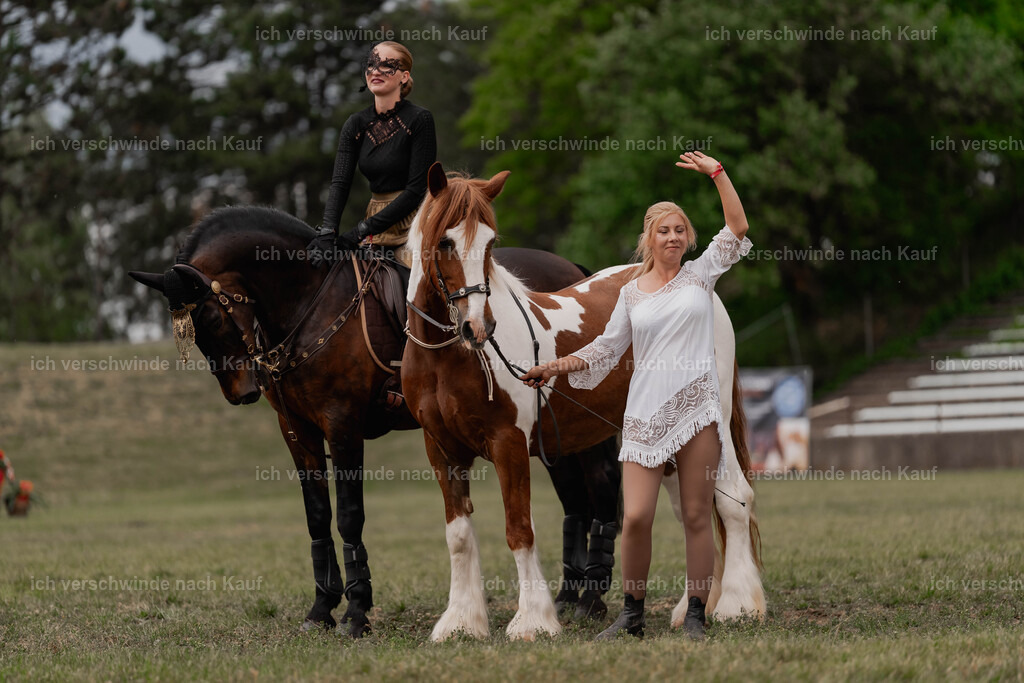 Showprogramm-449 | working equitationturnier fotograf videograf stoibphotography marixx film working equitation deutschland reitsport turnierfotografie eventfotografie equestrian events