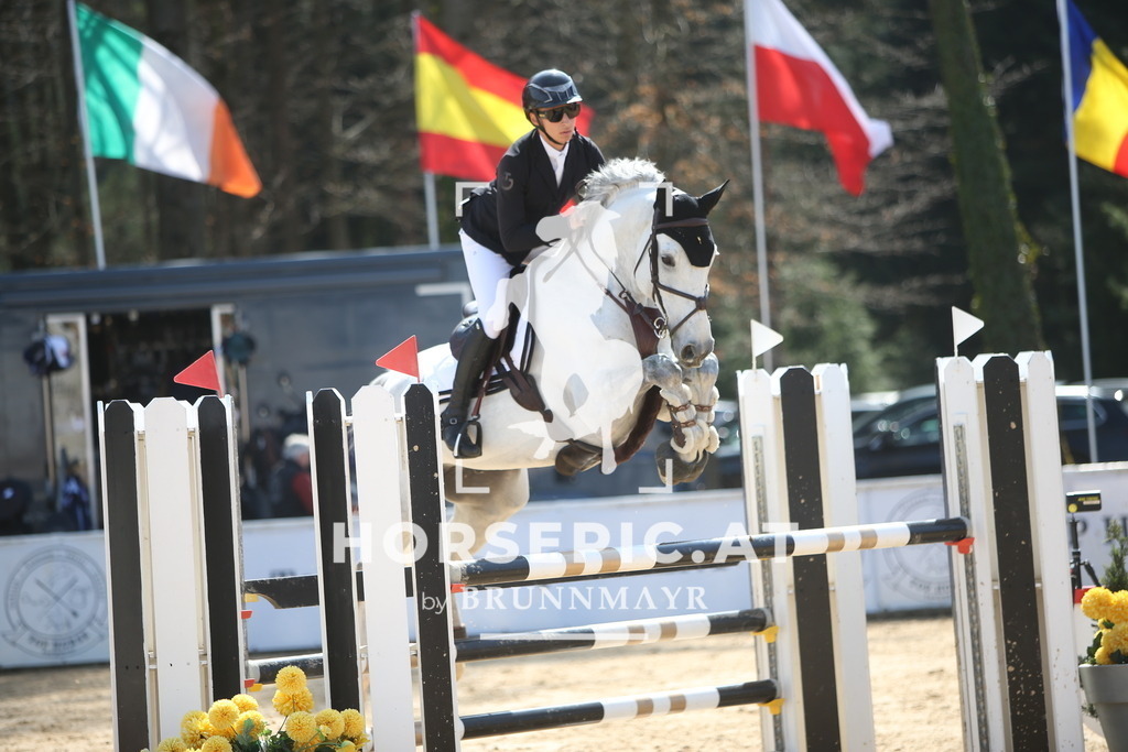 PP015088 | Willkommen bei Brunnmayr - Design & Fotografie – Ihrem Spezialisten für Reitturniere und Pferdeveranstaltungen in Oberösterreich, Salzburg und Bayern! Seit über 17 Jahren sind wir leidenschaftlich dabei.
