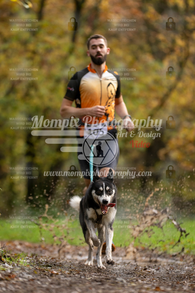 MompixPhotography_Bischwiller23_Canicross-53 | PayLife