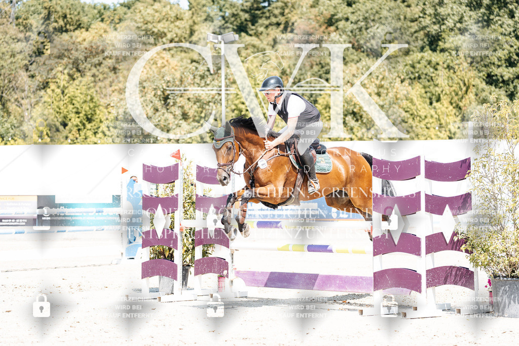 CK900762 | Turnierfotografie Pferdefotografie Trier Rheinland-Pfalz Pferdesport Reitsport Tierfotografie Sportfotografie Pferdevideo Pferdevideografie Equestrianvideography equestrianphotography  - Realisiert mit Pictrs.com