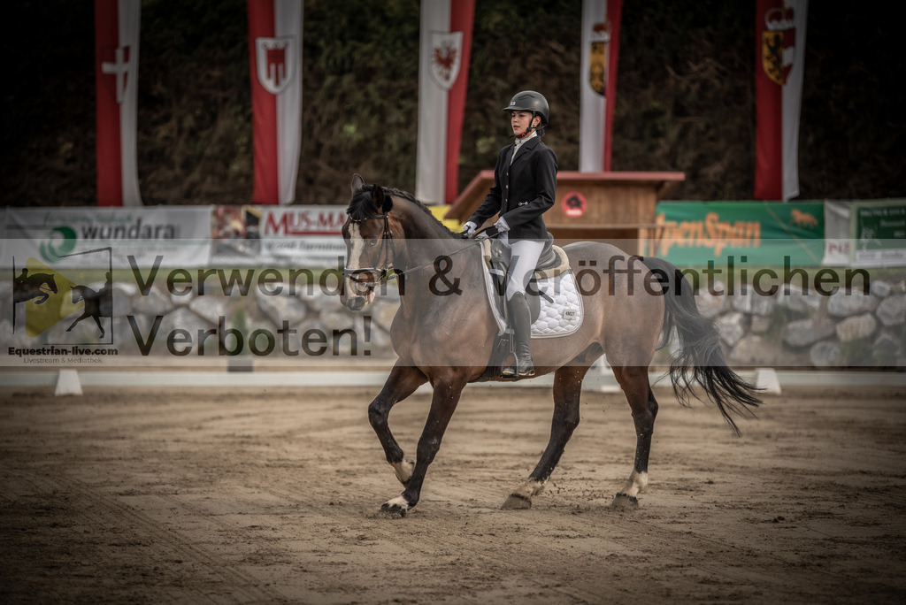 DSC_8330 | equestrian-live-com