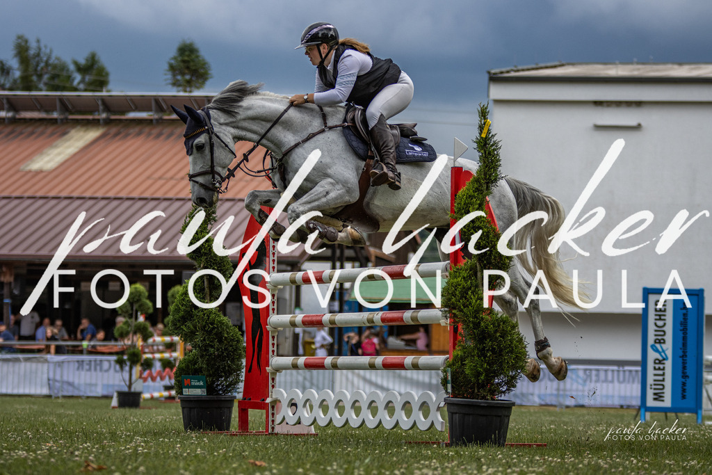 IMG_7177 | Erleben Sie dynamische Sport- und emotionale Tierfotografie in Süddeutschland mit Fotos von Paula. Spezialisiert auf Pferde- und Hundefotografie sowie Sportevents. Kontaktieren Sie mich für einzigartige und ausdrucksstarke Bilder Ihrer besonderen Momente.