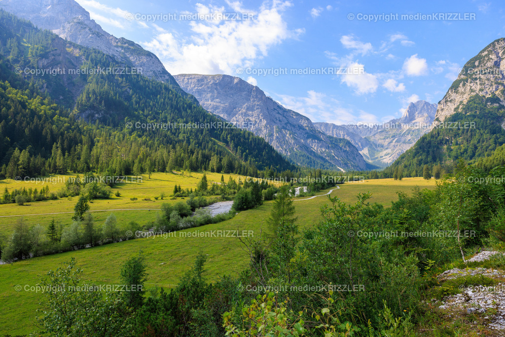 _J3A8146 | medienkrizzler - Realisiert mit Pictrs.com