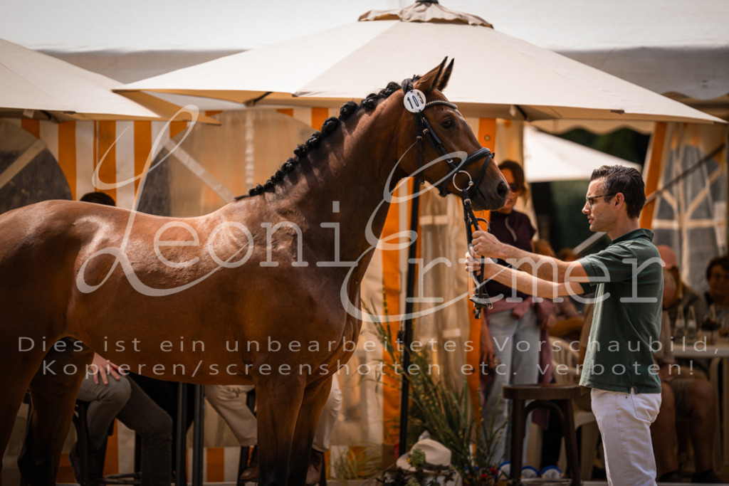 2. Fr00069 | Leoni Ertmer Photography - Realisiert mit Pictrs.com