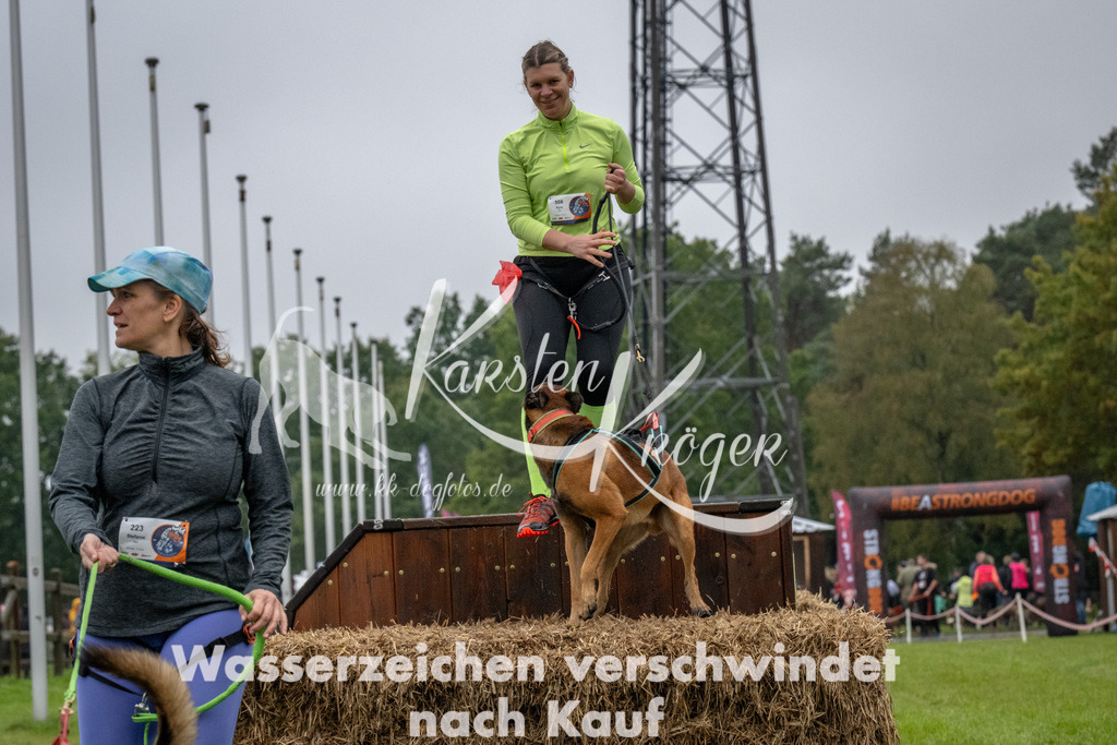 1106-93542 | kk-dogfotos