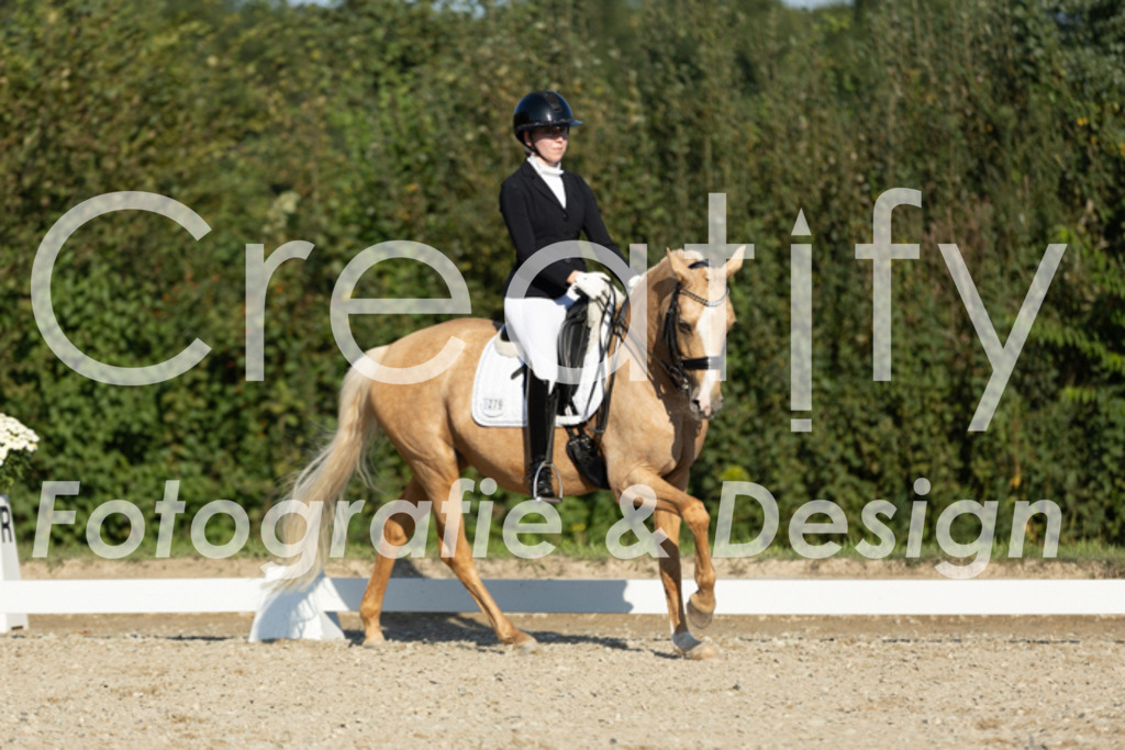 IMG_0965 | Creatify Fotografie