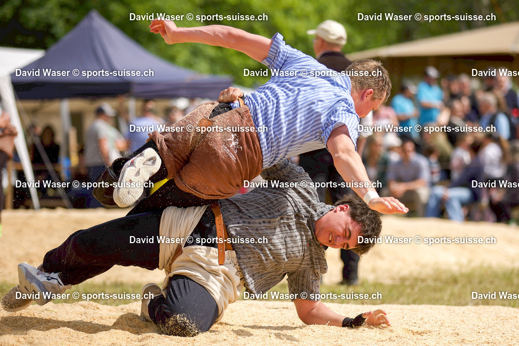 Schlussgang Baillod Ilan (2011) - Wyss Dario (2011) F_te R_gionale Cousset_ 17.05.2026-1 | Schlussgang Baillod Ilan (2011) - Wyss Dario (2011) Fête Régionale Cousset, 17.05.2026