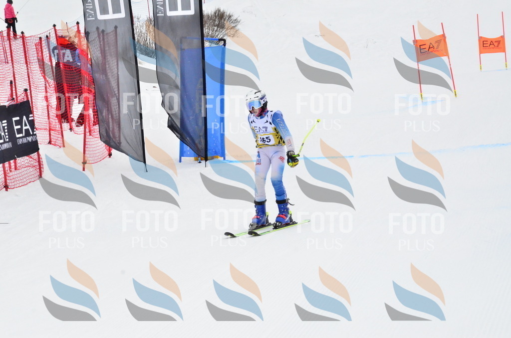 _ELE3880 | holidayphoto